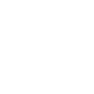 Vehicle Movement Management System